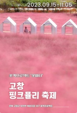 11월 전국 축제 일정표