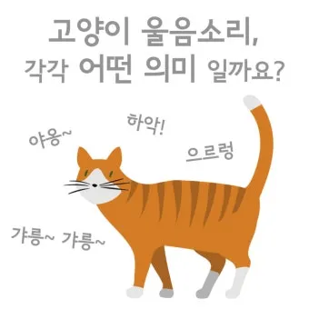 고양이 울음소리 종류, 애기 고양이 울음소리, 화난 울음_32