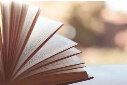 하루에 딱 한 문단만 읽는 독서법,정보 흡수의 극한 미니멀리즘 실험기