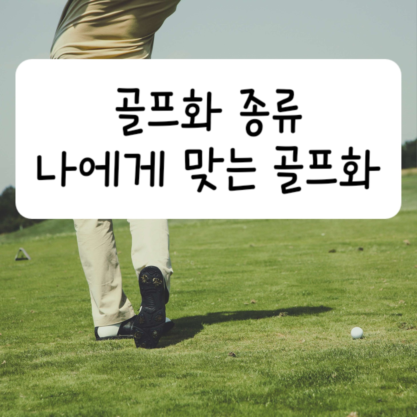 스파이크 리스 골프화