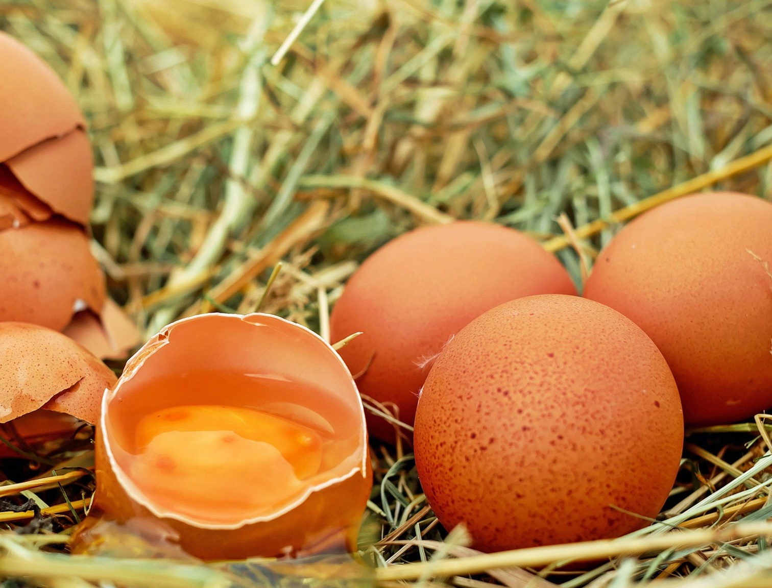 손가락 관절염으로 진행되기 전 반드시 나타나는 변화