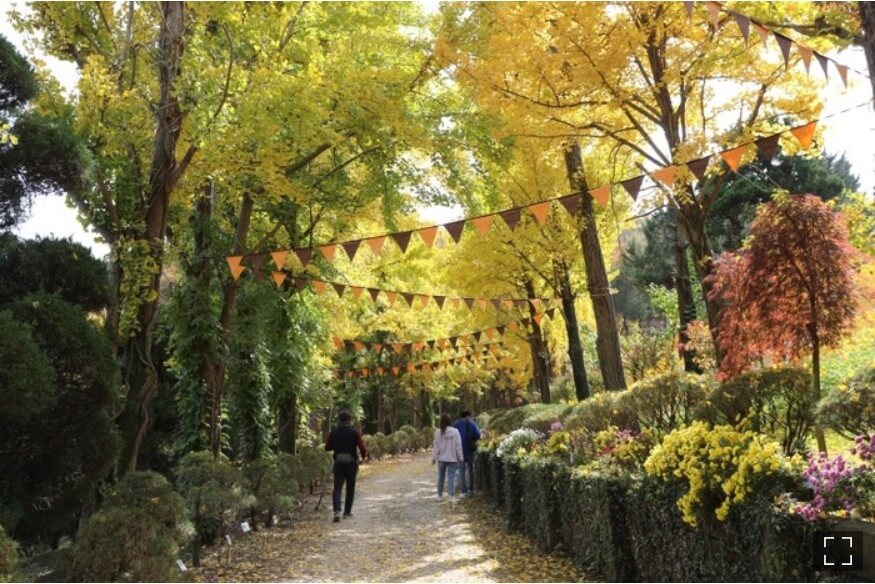 당일치기-단풍여행