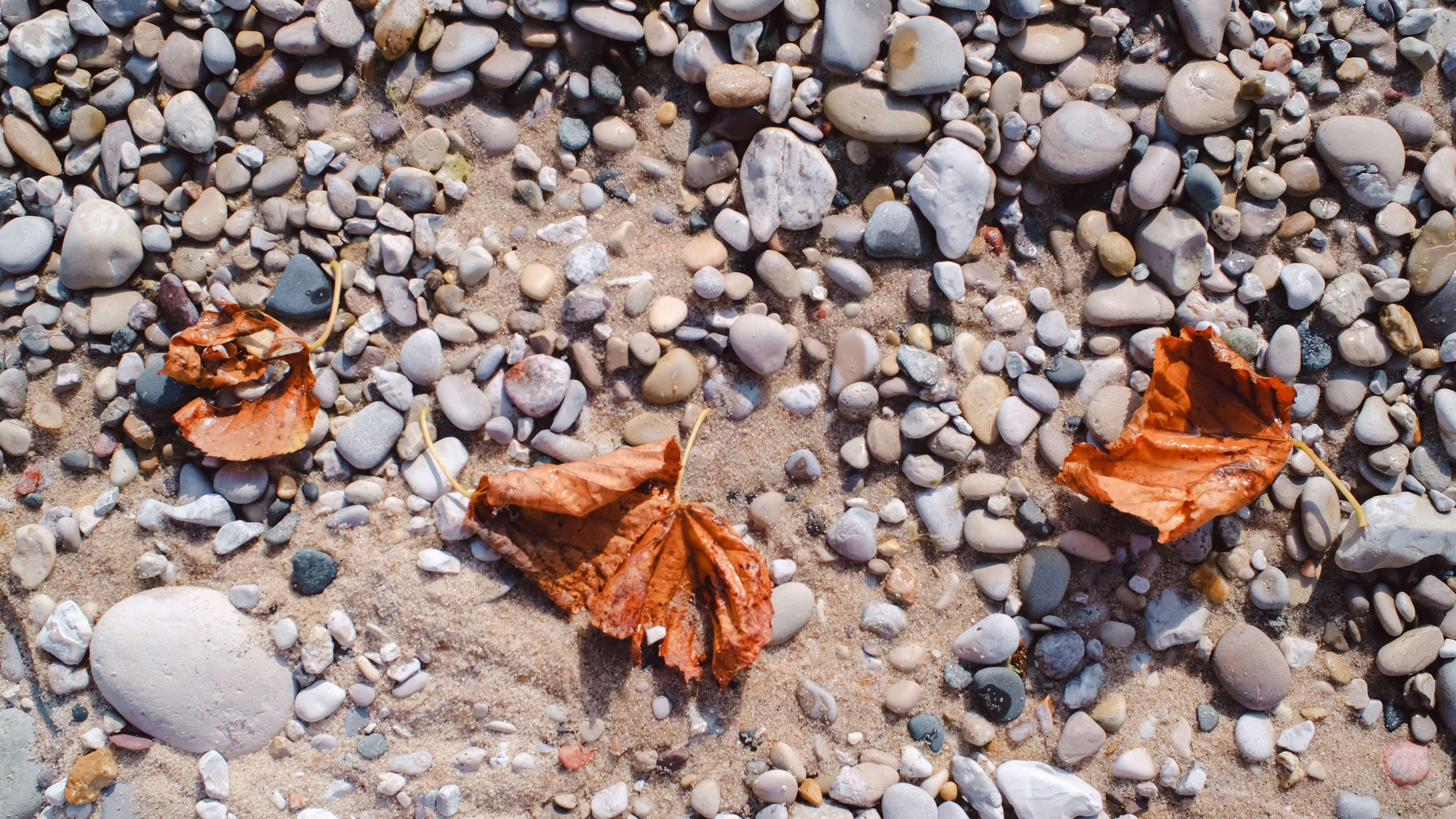 화담숲 단풍시기 예약방법 주차 싹다 정리