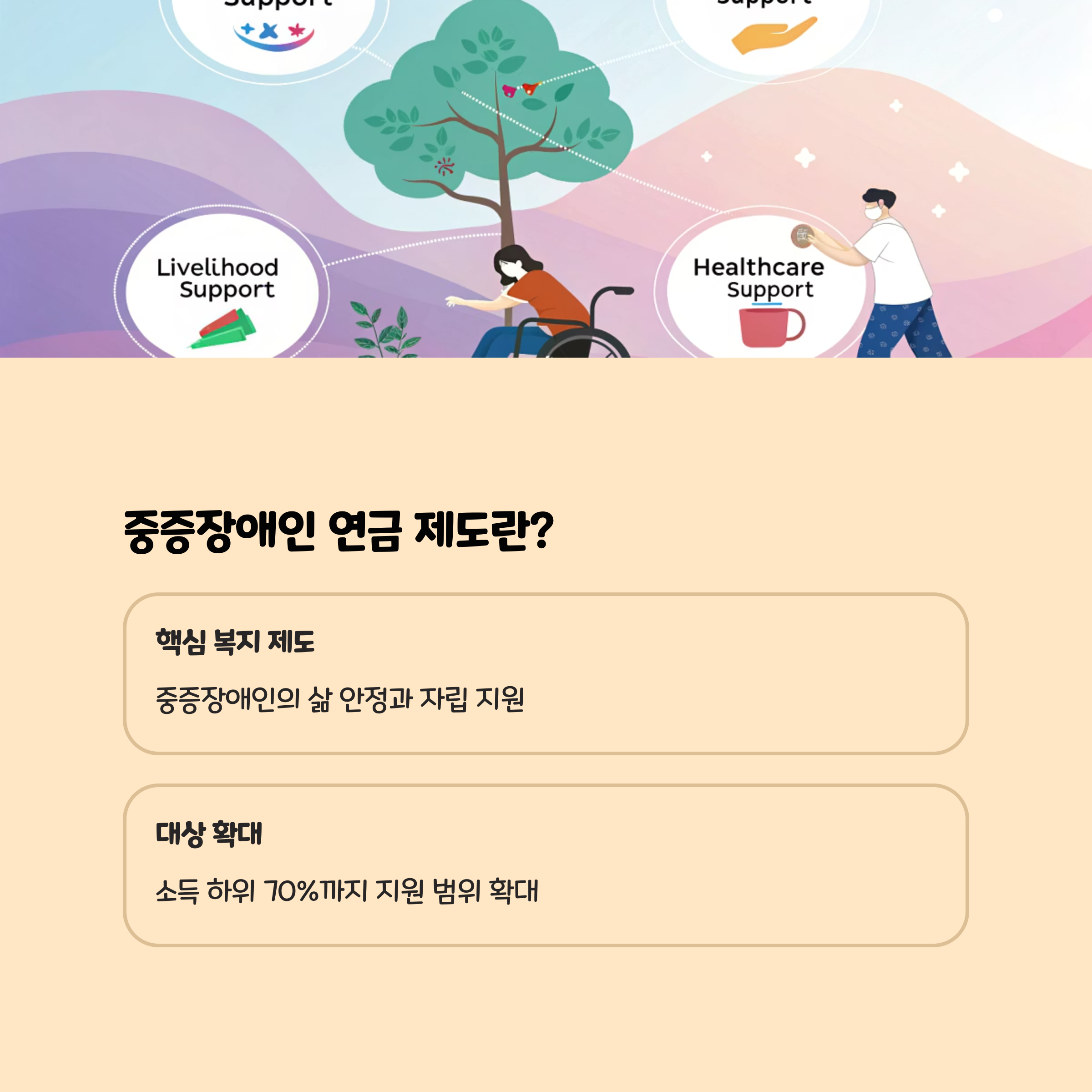 중증장애인 연금 제도 개요
