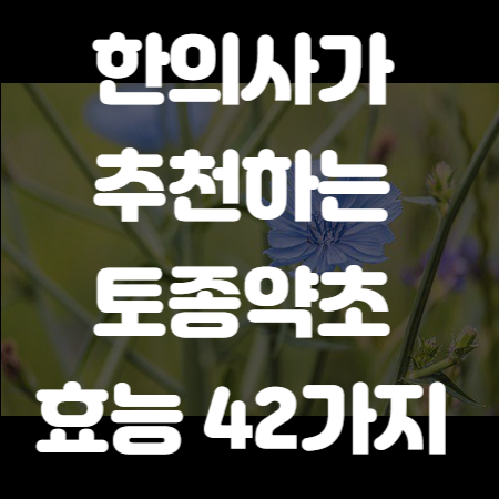 두손애약초 썸네일