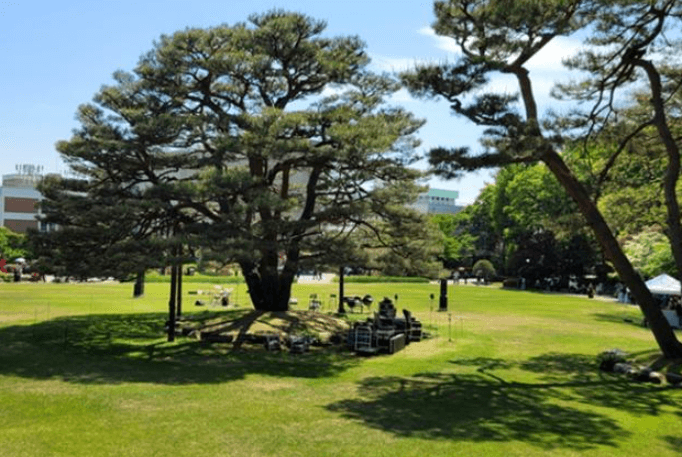 청와대 관람신청