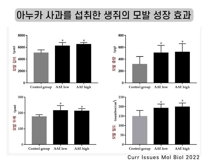 아누카 사과를 섭취한 생쥐는 모발의 길이, 두께, 밀도가 증가하는 결과를 보입니다.