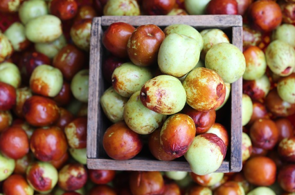 제철 과일이 중요한 이유