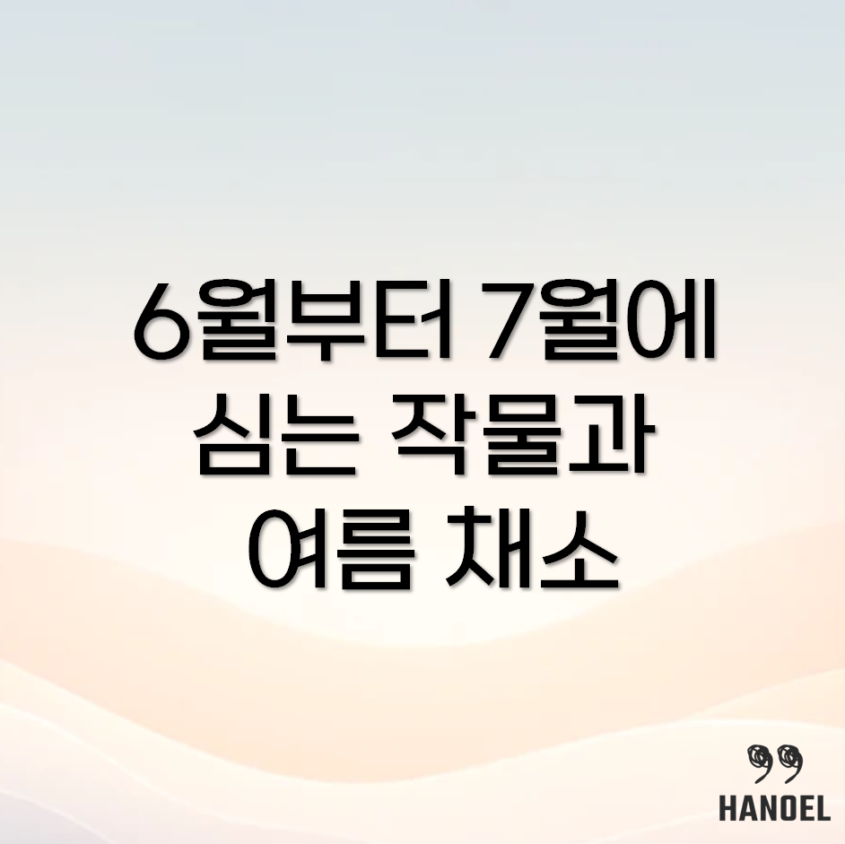여름 채소