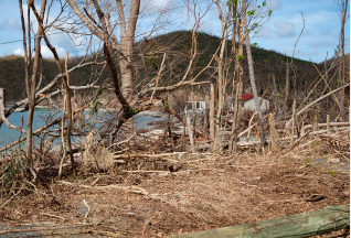 청와대 관람신청 주차장