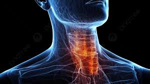 갑상선기능 저하증이란 무엇인가.