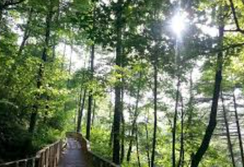 국립횡성숲체험 안내 