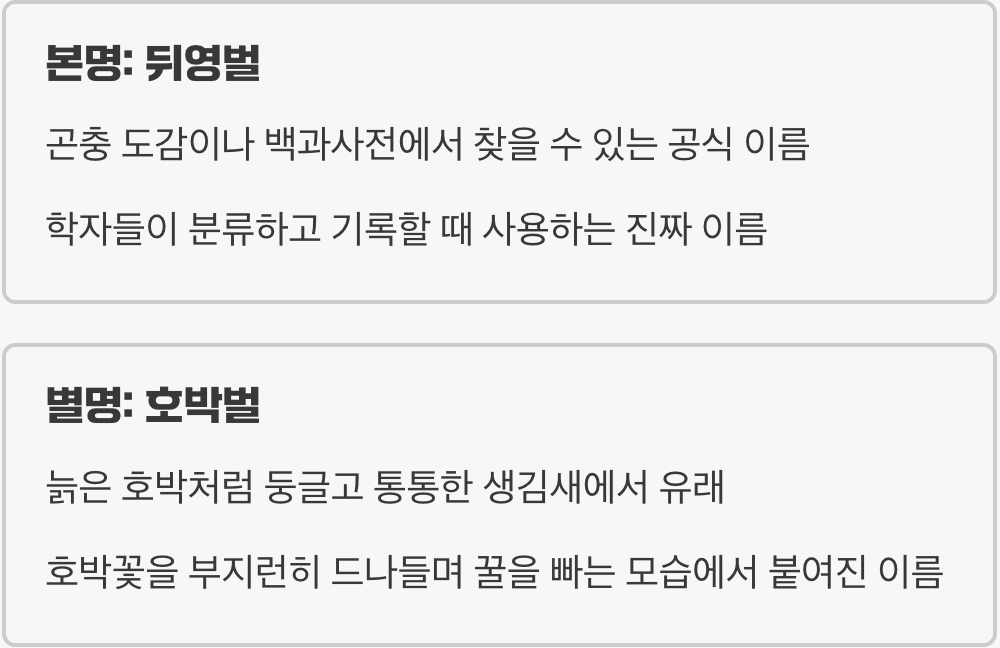 두 개의 이름, 하나의 정체