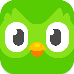 듀오링고 Duolingo 무료 언어 학습 앱, 외국어 어휘와 어법, 실생활 회화 배우기