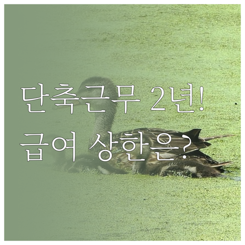 육아기 근로시간 단축 2년 사용 법적..