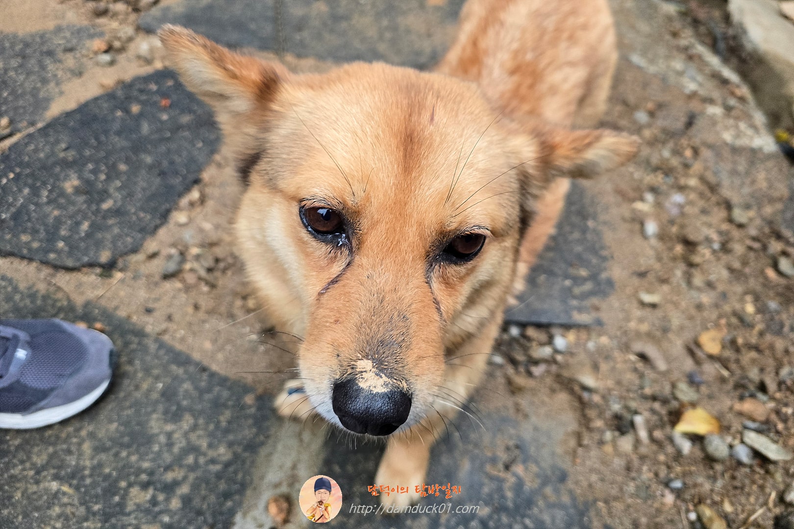 죽록정사, Jukrokjungsa stay(Korean traditional style house)