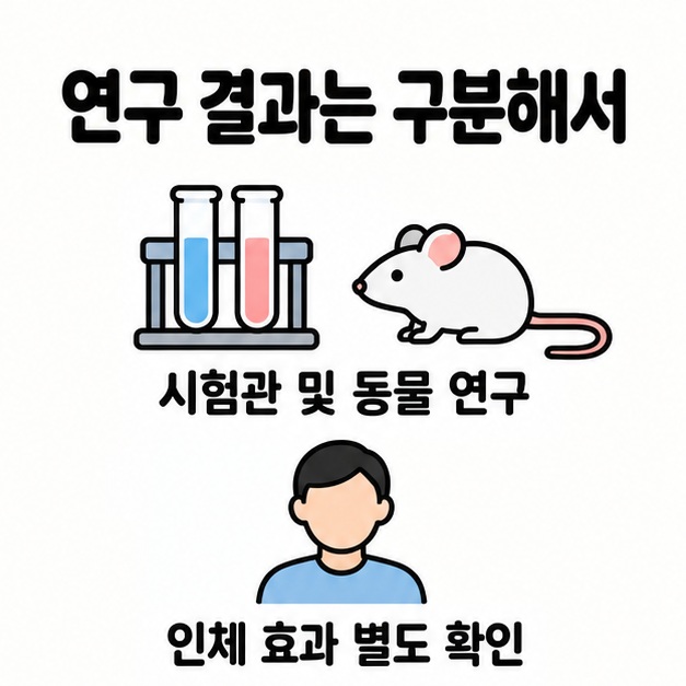 시험관과 생쥐를 시험관 및 동물 연구로 표시하고 사람 그림 아래 인체 효과 별도 확인을 안내한 그림