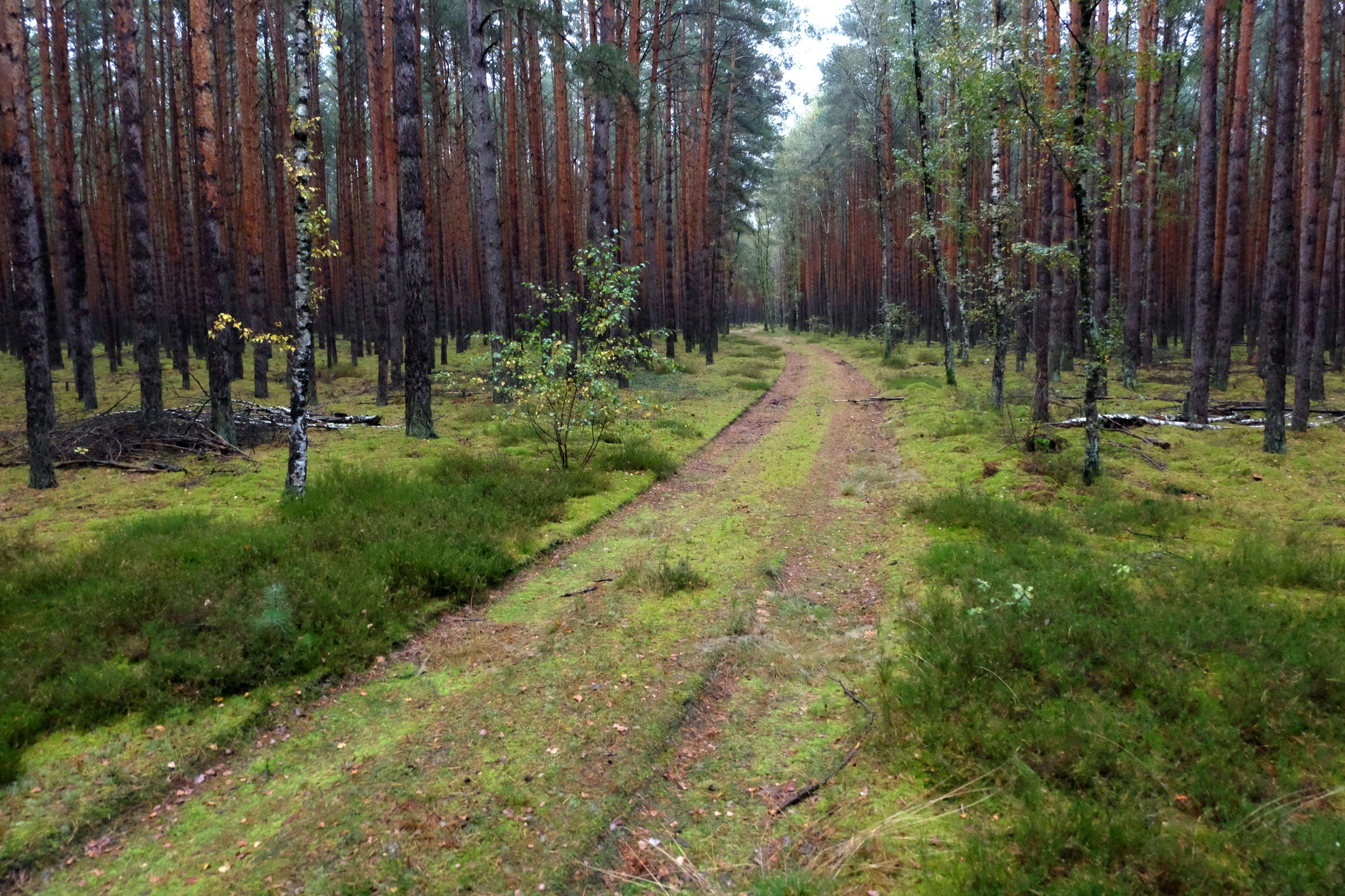 AI 없는 하루가 자율성에 미치는 영향
