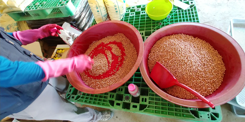 한여름 콩밭에서 추수까지 &mdash; 기계화 콩농사 이야기 1