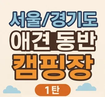 수도권 애견동반 여행지 5선 완벽 가이드 반려견 동반 산책 주말 여행지 추천_22
