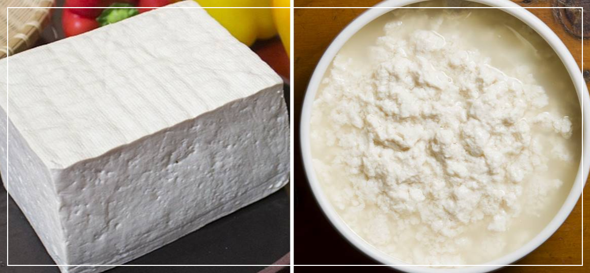 탈모에 좋은 두부와 순두부 사진