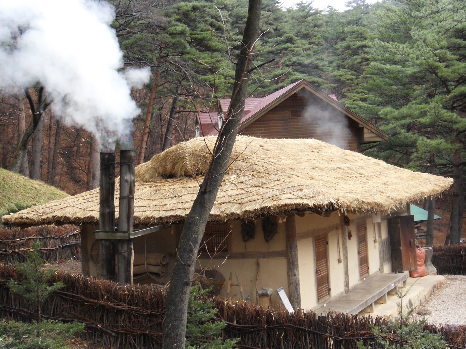 대관령 자연휴양림