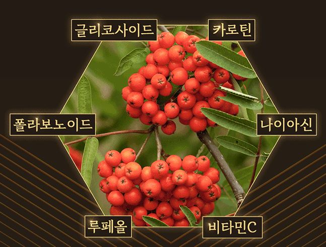 마가목-효능