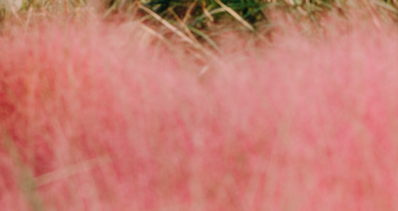 서울의 가을 상암하늘공원