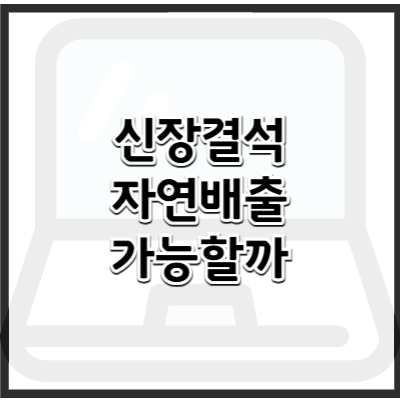 신장 결석 치료법과 자연 배출 가능 여부 – 효과적인 치료 및 예방 가이드