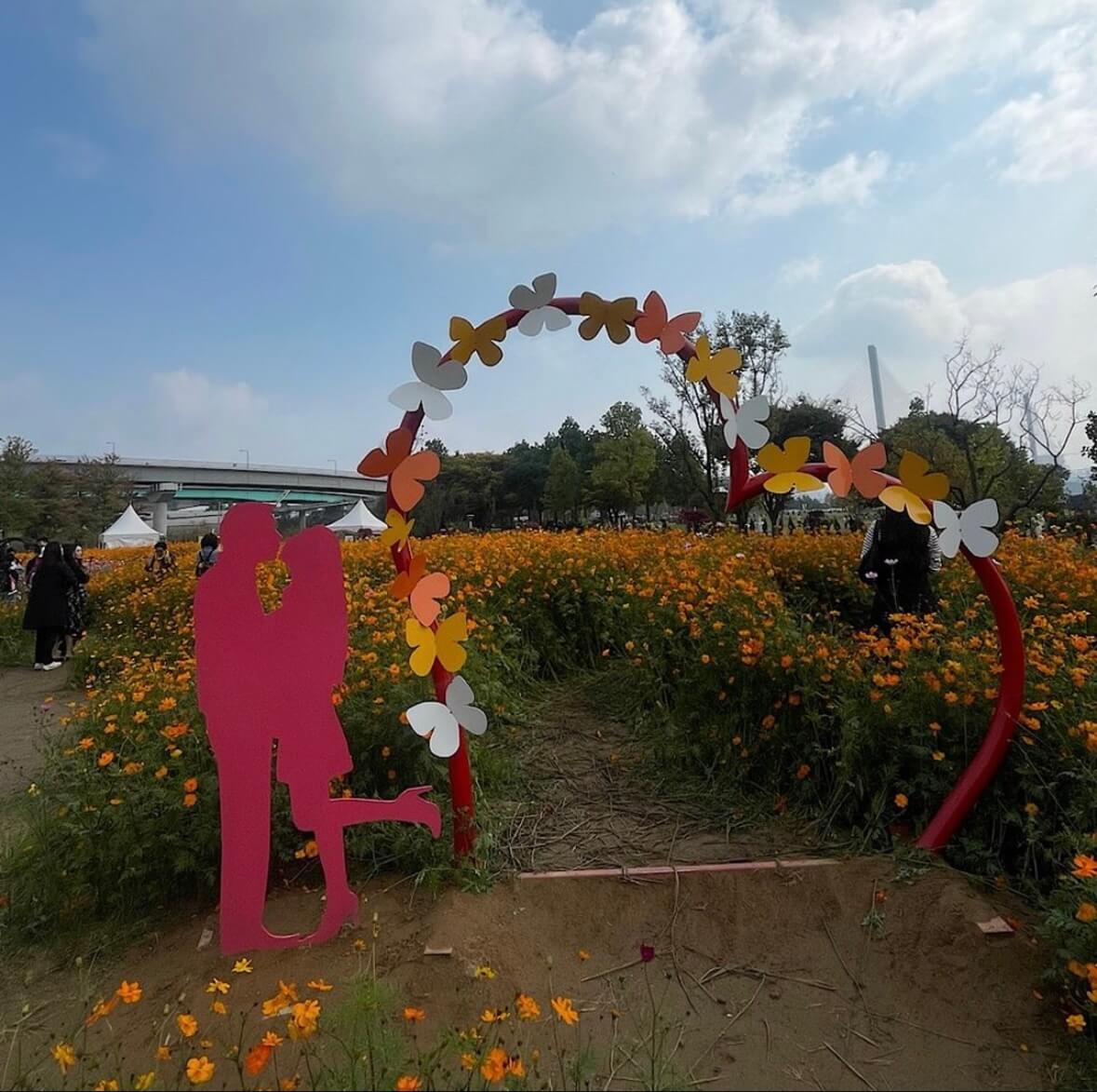 구리 코스모스축제