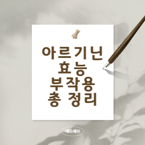 아르기닌효능과-부작용