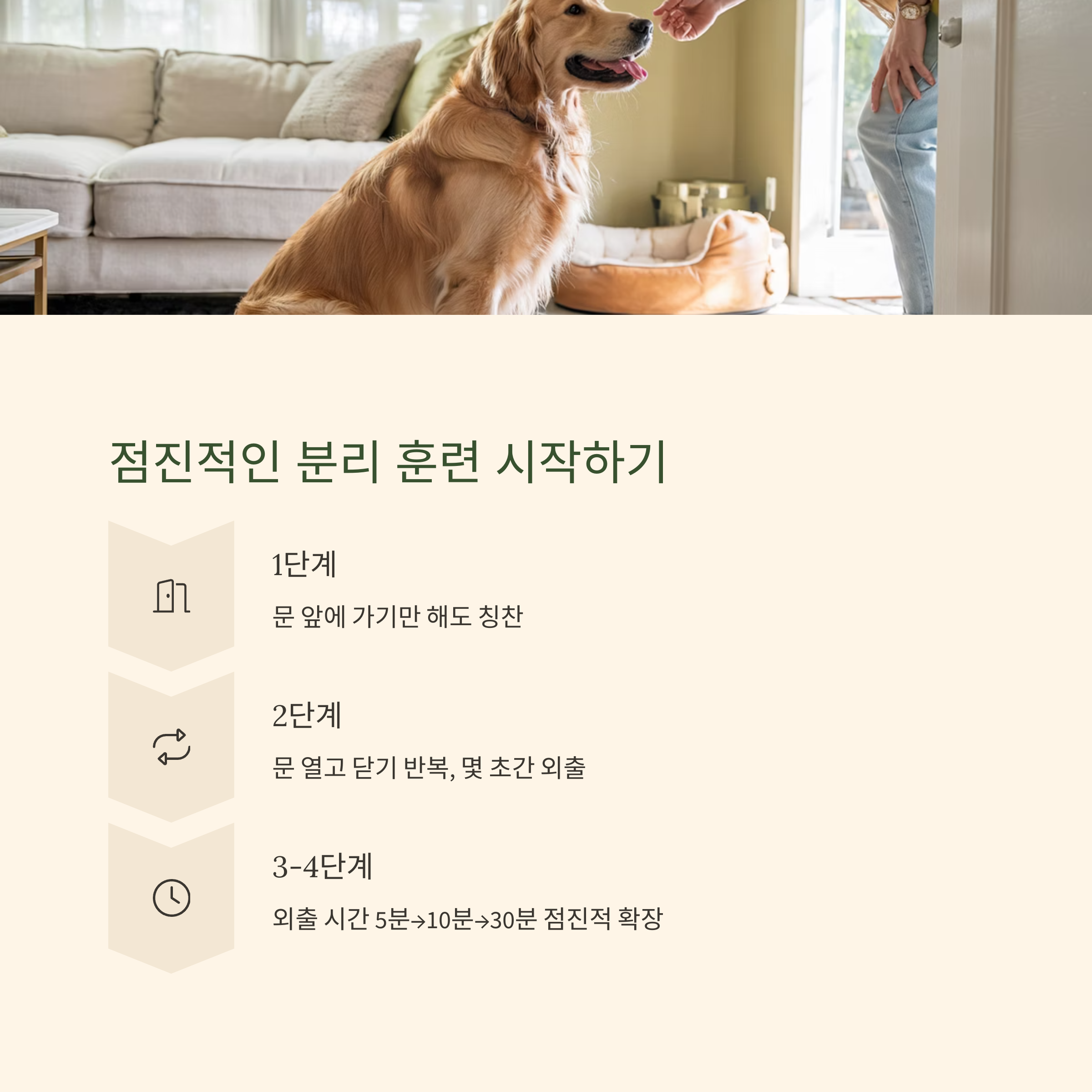 점진적인 분리 훈련 시작하기