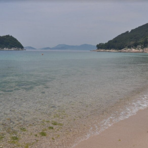 비진도