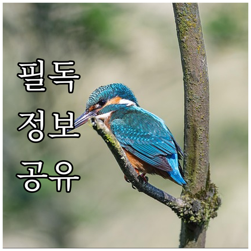 2025 청양군 출산장려금: 누가, ..