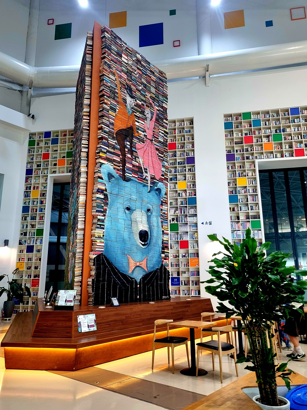 서울 근교 가을꽃 만발한, 경기도 고양시 강매석교공원 창릉천 코스모스축제