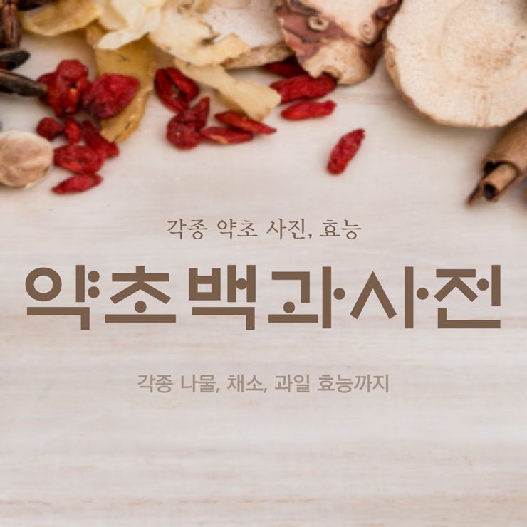 약초백과사전
