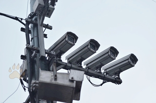 고속도로 CCTV 무료 어플