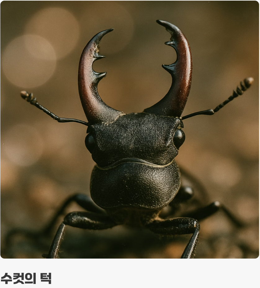 결정적 단서&amp;#44; 턱의 &amp;#39;모양&amp;#39;과 &amp;#39;굽이&amp;#39;