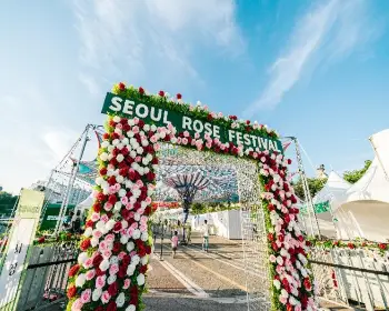 중랑 서울 장미축제_3