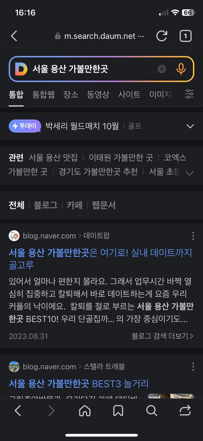 다음 검색