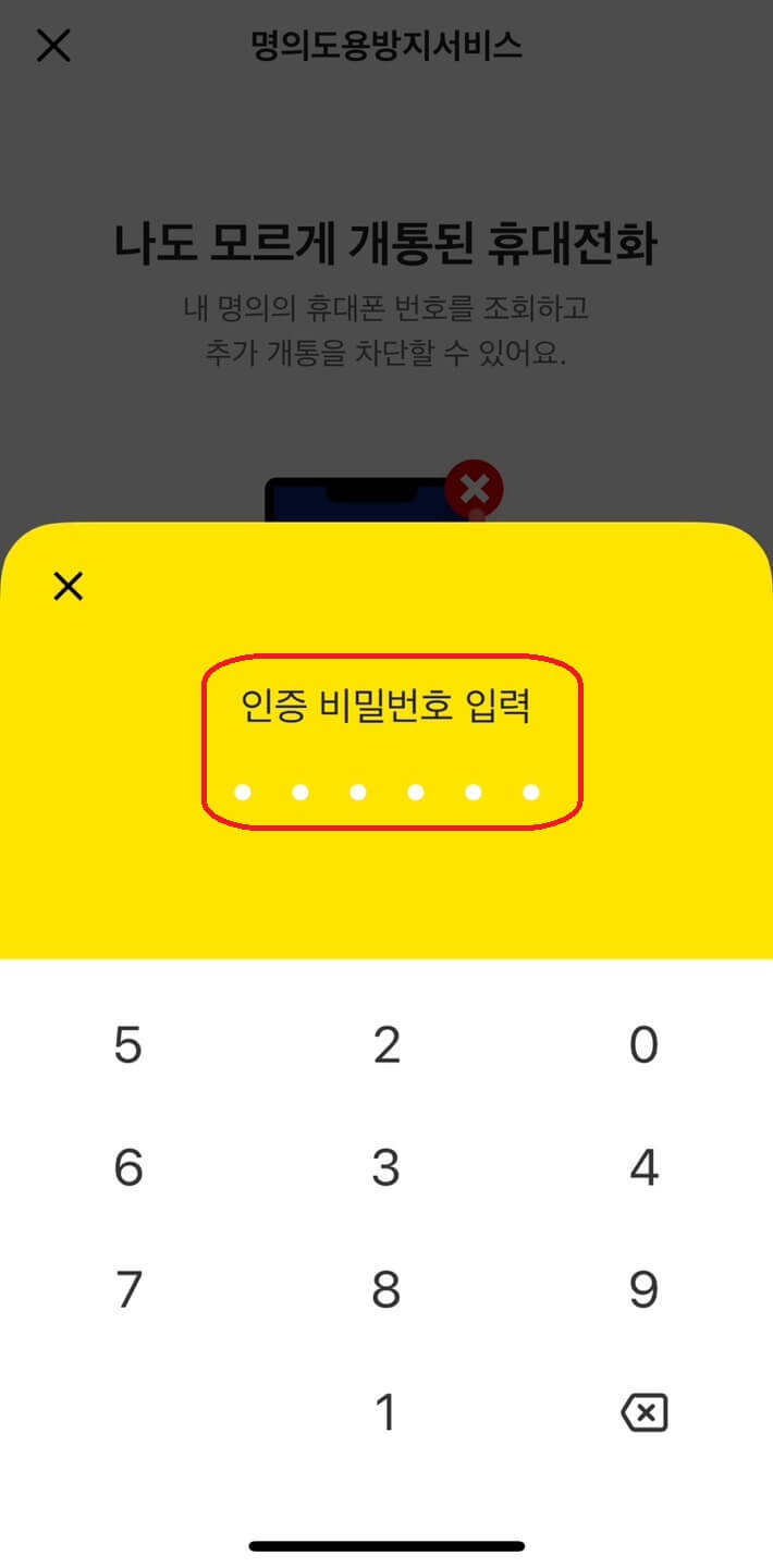 명의도용방지서비스