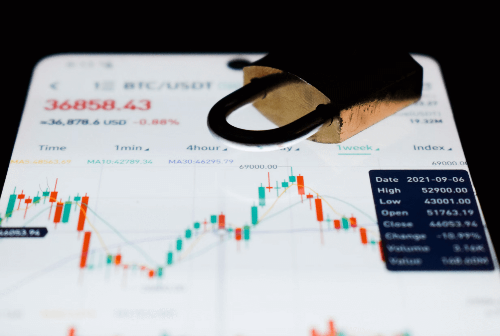 주식 포트폴리오