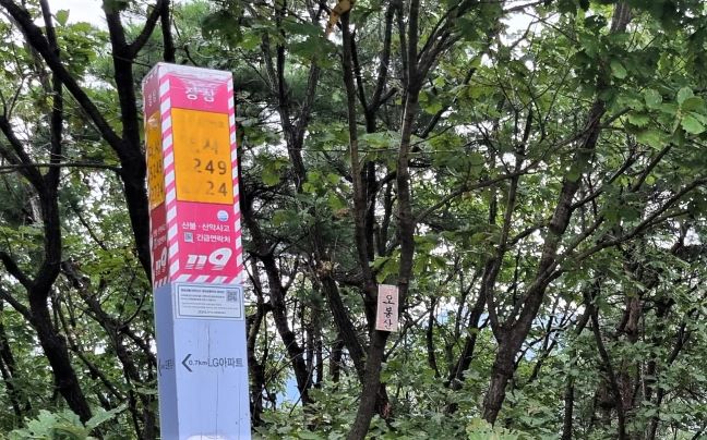 국가지점번호 말뚝에 표시된 '정상', 나무에 붙여 놓은 코팅지 명찰에 '오봉산', 울칭한 나무들,