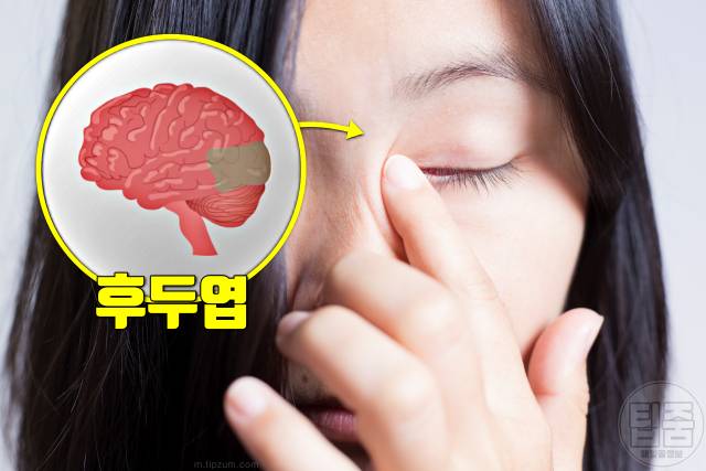 뇌에 피가 부족할때 증상 피가부족한증상 뇌혈류장애 시력
