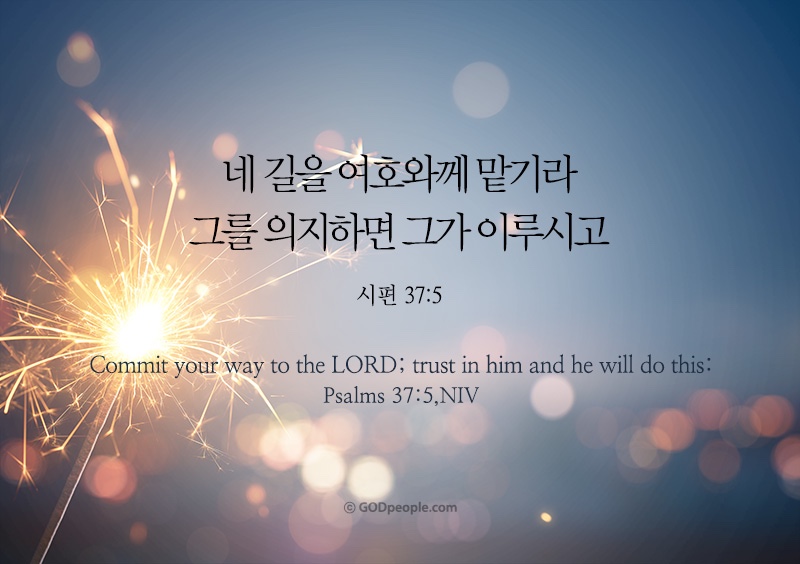 시편 37편 5절 수험생에게 힘이 되는 말씀