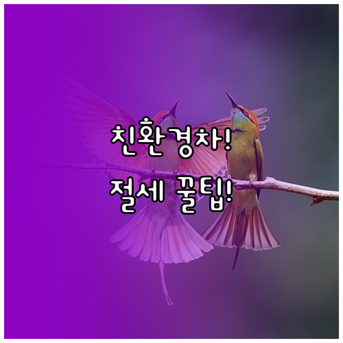 사업자를 위한 2025년 친환경차 리..