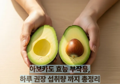 아보카도 효능 부작용,하루 권장 섭취량 까지 총정리