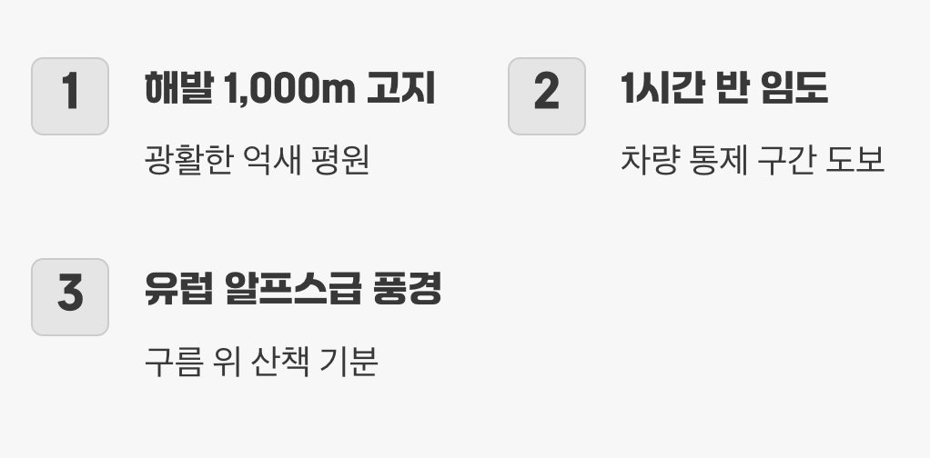 6. 영남알프스의 심장, 울주 신불산 & 간월재