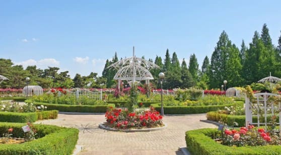 고양 꽃박람회 주변맛집