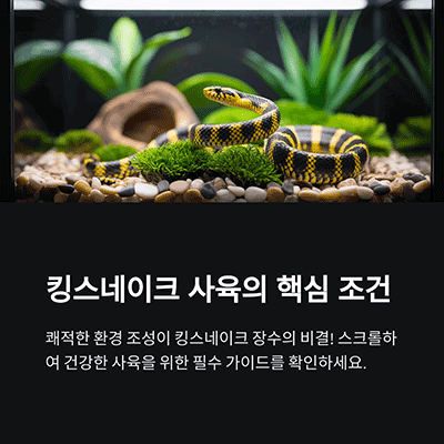 킹스네이크 키우기 사육환경